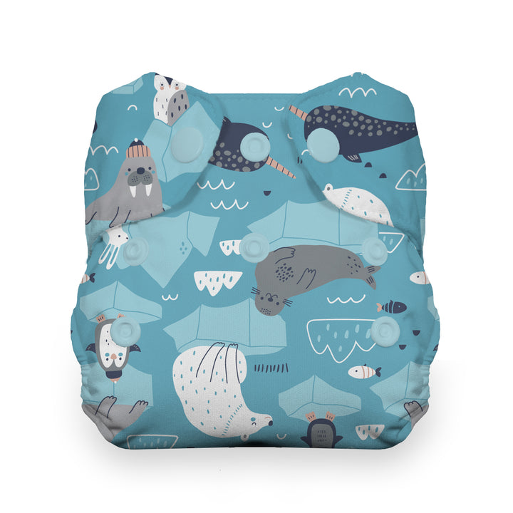 newborn cotton all in one diaper Thirsties ice flow