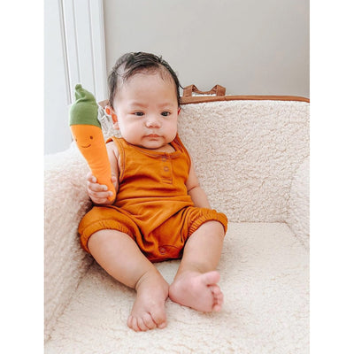 baby holding under the nile carrot toy