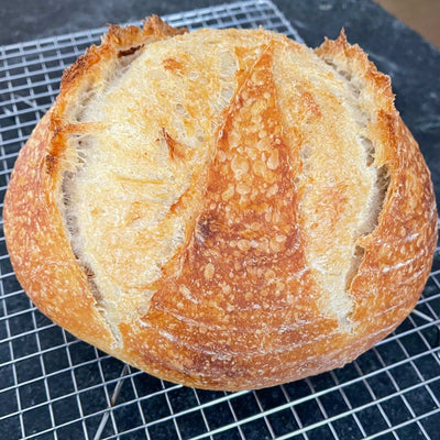 GMD Karen's Counterless Sourdough Bread