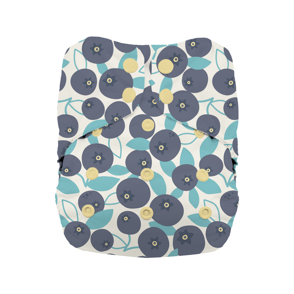 Thirsties natural all in one cloth diaper with cotton blueberry print