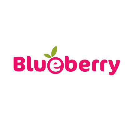 Blueberry diaper logo