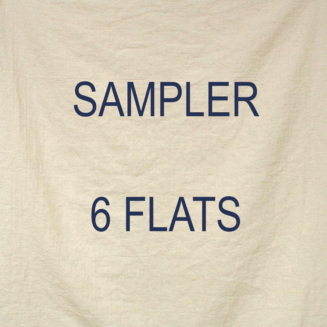 Text 'SAMPLER 6 FLATS' on a beige textured background