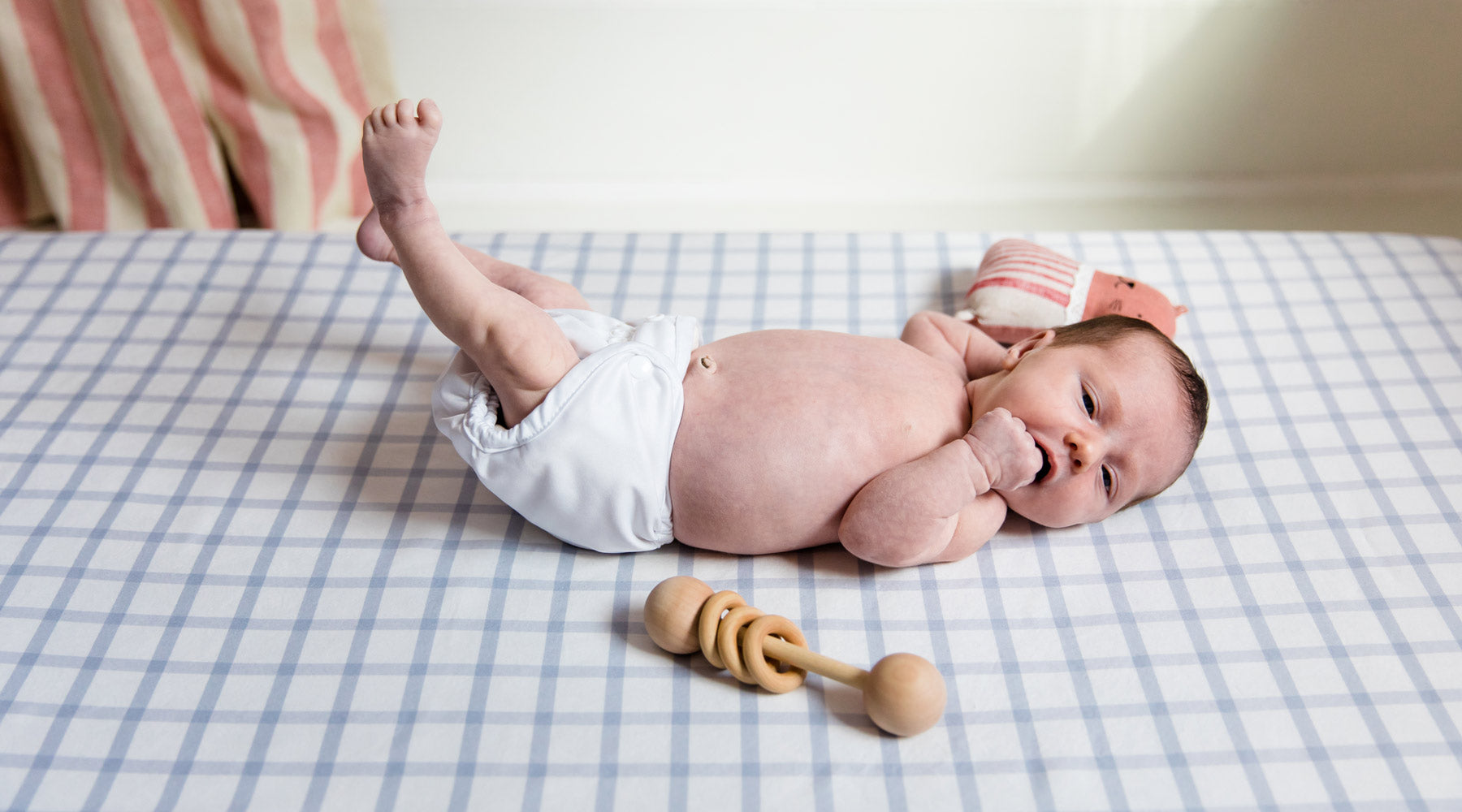 newbonr cloth diapers