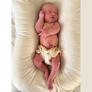 workhorse newborn baby diapers